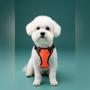Phoepet dog harness size medium